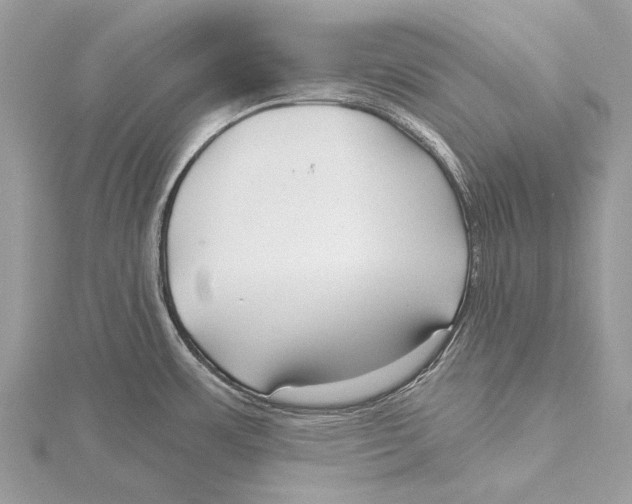 X0000115531483200912040939