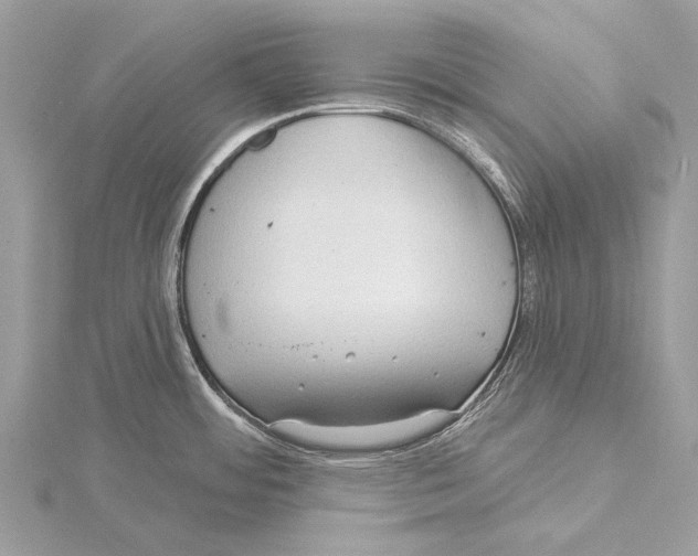 X0000115531484200912040939