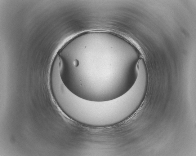 X0000115531485200912040939