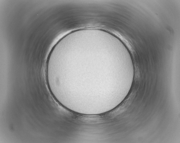 X0000115531486200912040939