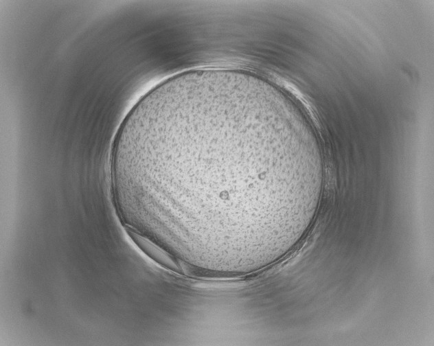 X0000115531487200912040939