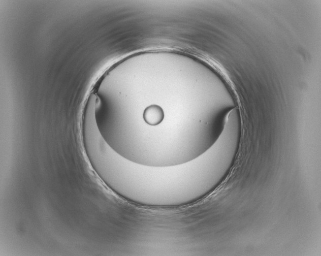 X0000115531488200912040939