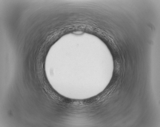 X0000115531489200912040938