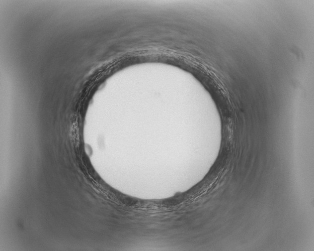 X0000115531493200912040938