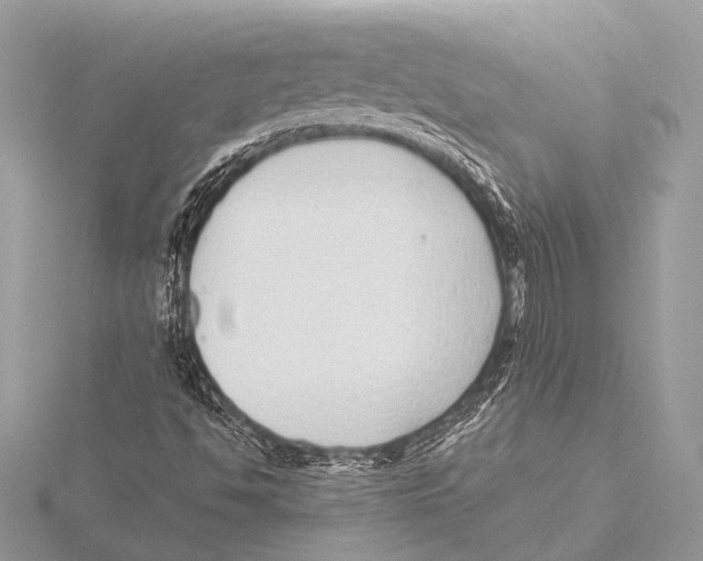 X0000115531494200912040938