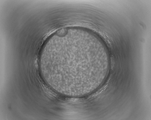 X0000115531497200912040938