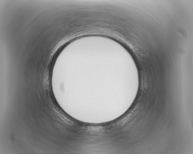 X0000115531498200912040938