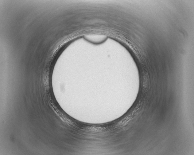 X0000115531499200912040938