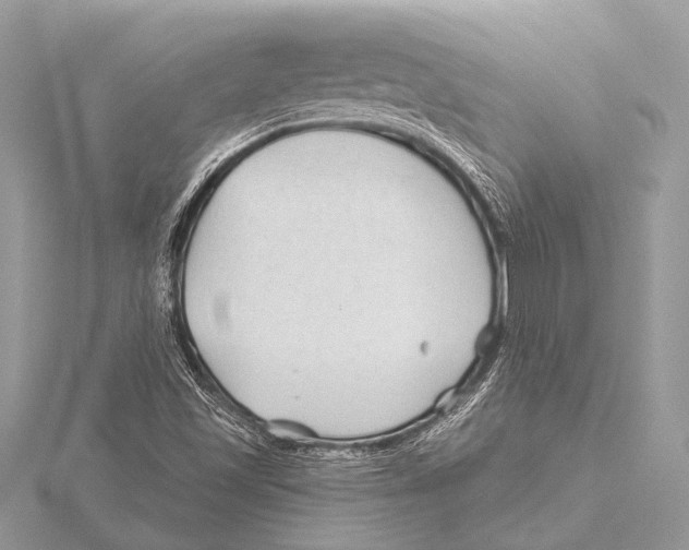 X0000115531501200912040938