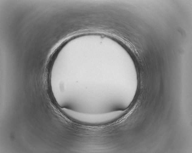 X0000115531502200912040938