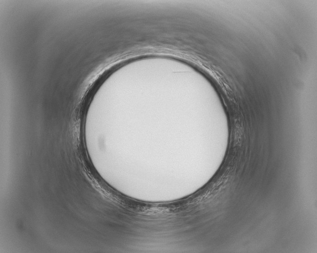 X0000115531503200912040938