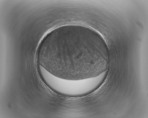 X0000115531506200912040938