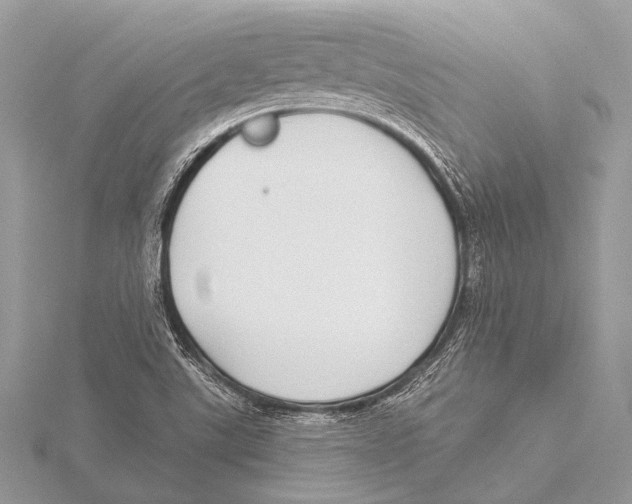 X0000115531507200912040938