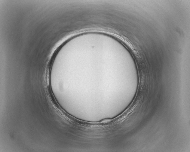 X0000115531510200912040938