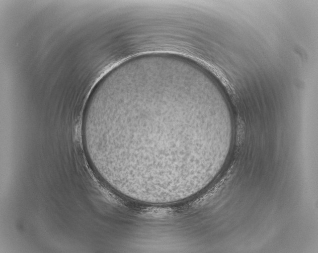 X0000115531513200912040938