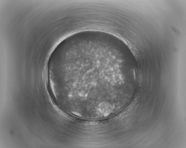 X0000115531515200912040938