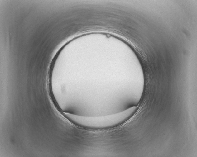 X0000115531518200912040939