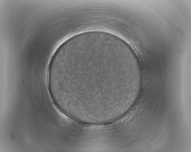 X0000115531519200912040939