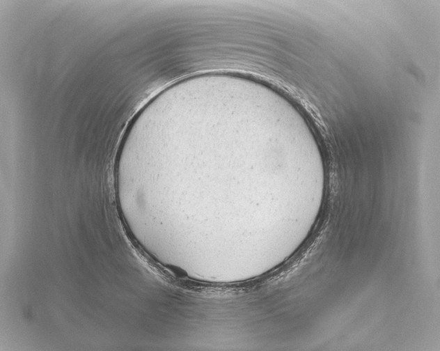 X0000115531521200912040939