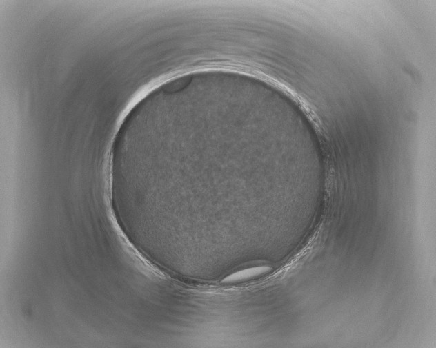 X0000115531522200912040939