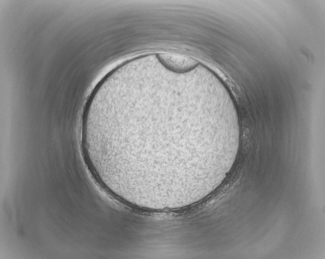 X0000115531523200912040939