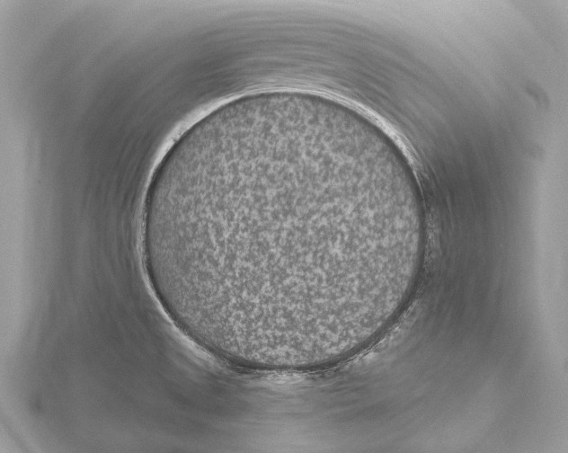 X0000115531525200912040939