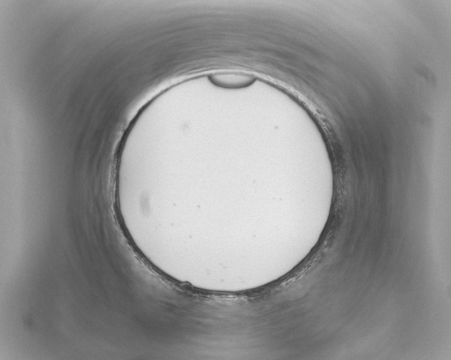 X0000115531526200912040939