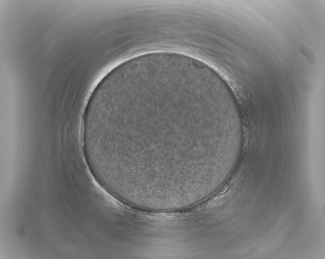 X0000115531527200912040939