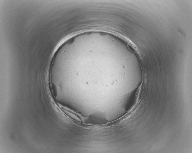 X0000115531530200912040939