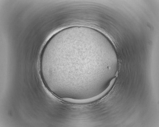 X0000115531531200912040939