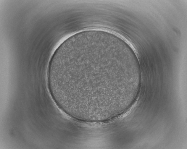 X0000115531533200912040939