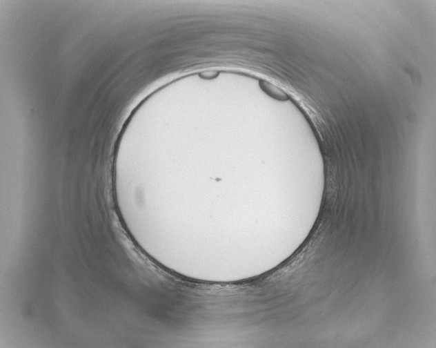 X0000115531534200912040939