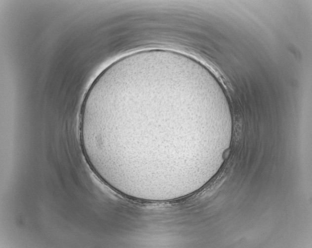 X0000115531535200912040939