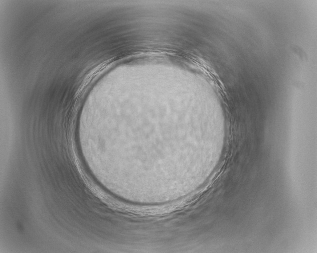 X0000115530001200912181536