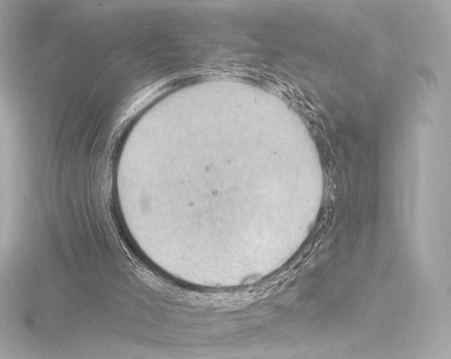 X0000115530005200912181536