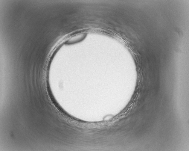 X0000115530007200912181536