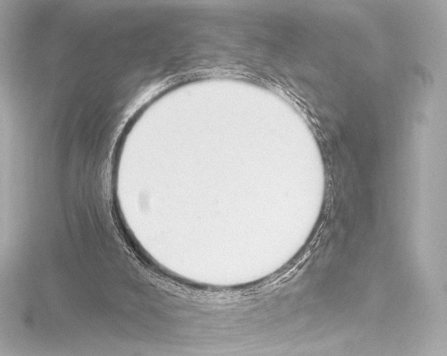 X0000115530008200912181536