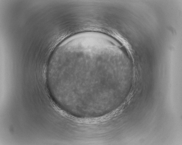 X0000115530009200912181536