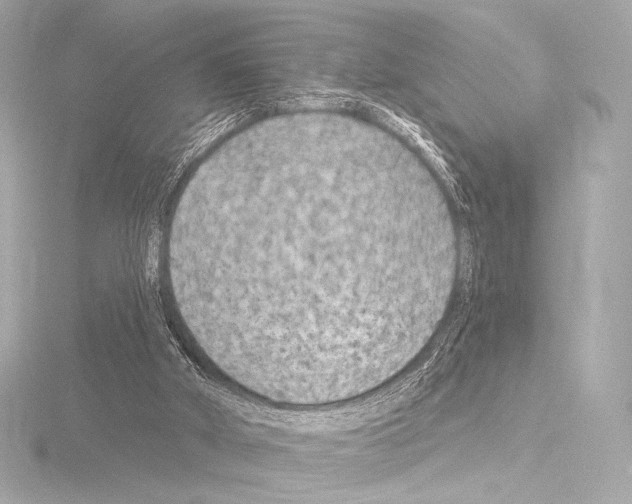 X0000115530010200912181536