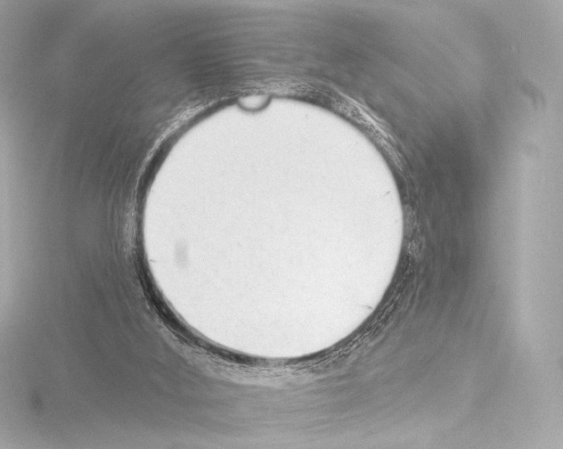 X0000115530012200912181536