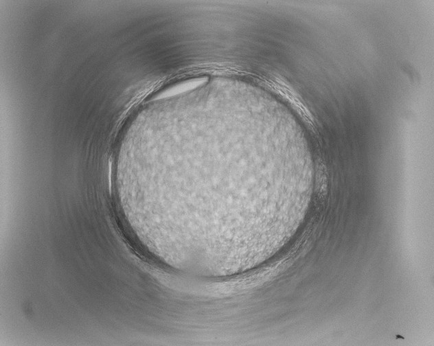 X0000115530014200912181536