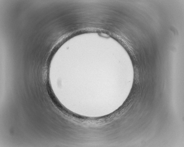 X0000115530016200912181536