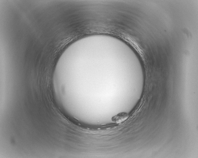 X0000115530017200912181536