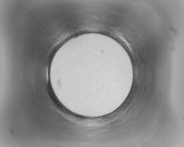 X0000115530020200912181536