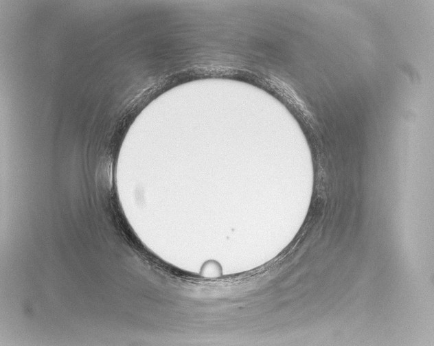 X0000115530021200912181536