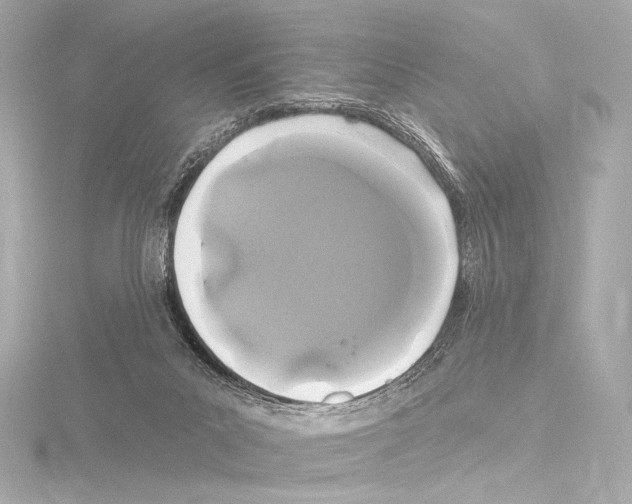 X0000115530023200912181536