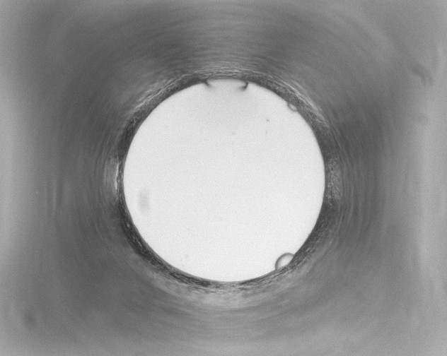 X0000115530024200912181536