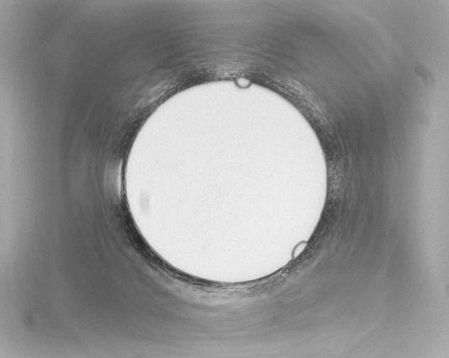 X0000115530028200912181536