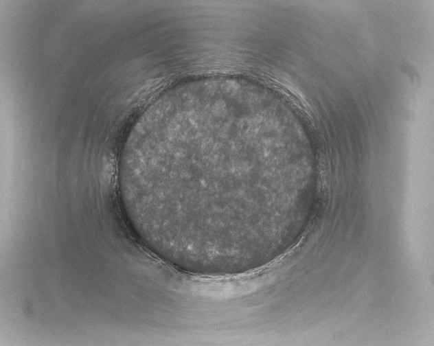 X0000115530029200912181536