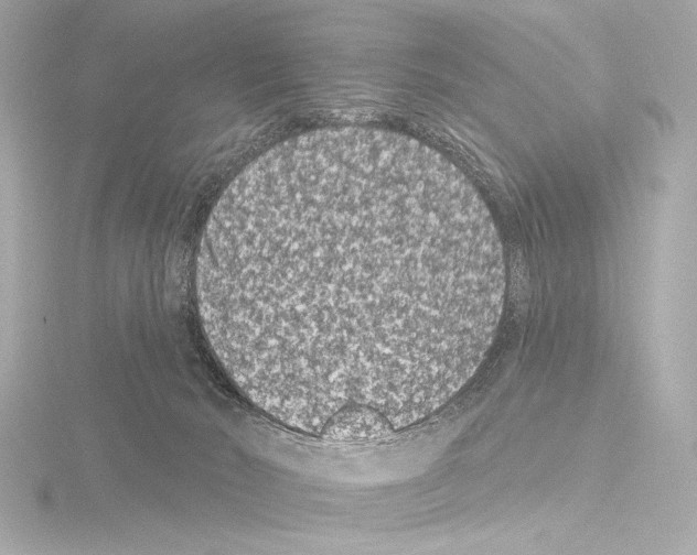 X0000115530030200912181536